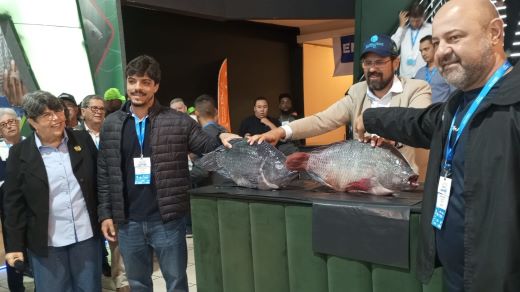 AQUISHOW BRASIL 2025 | “Né mentira, não, uai”: Competição “A Maior Tilápia do Brasil” premia produtores mineiros